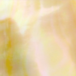 South Sea Yellow Mother Of Pearl