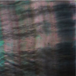 Tahitian Black Mother Of Pearl
