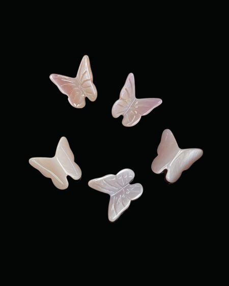 Purple Shell Butterfly
