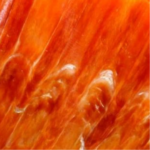 Spiny Oyster Shell (Orange)
