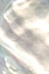 South Sea White Mother Of Pearl