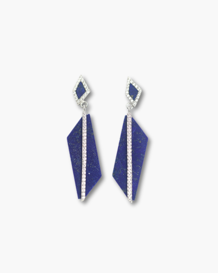 Irregular Shape Earrings