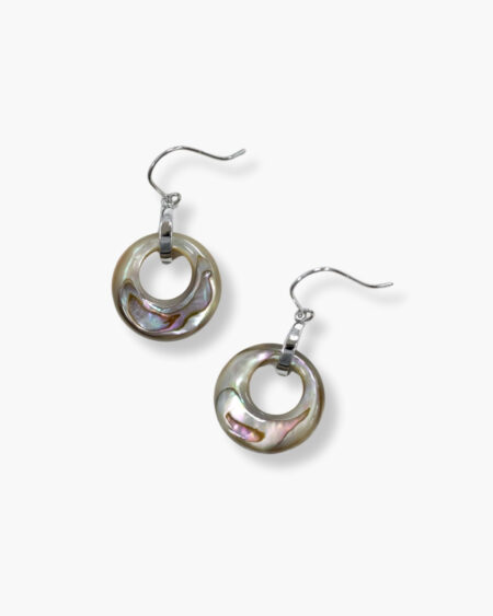 Round Torus Hook Earrings
