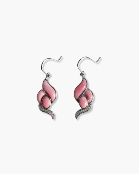 Special Design Hook Earrings