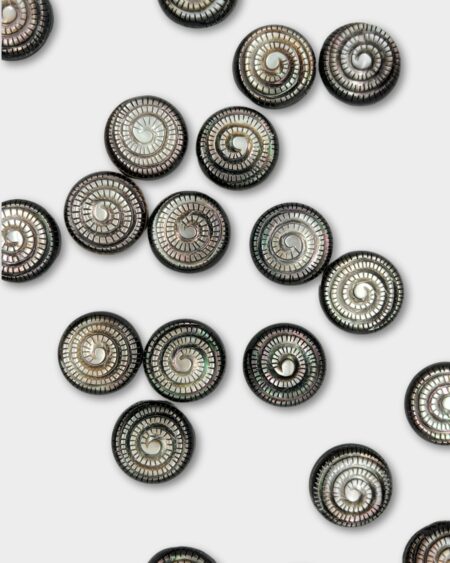 Fossil Carving, Black MOP