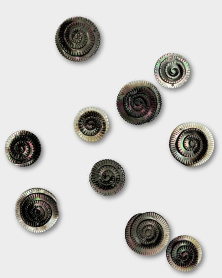 Fossil Carving, Black MOP