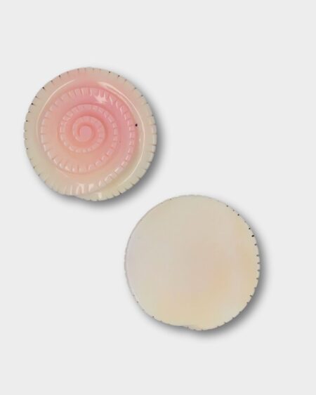 Fossil Carving, Pink Queen Conch