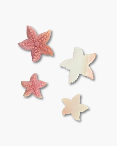 Starfish, Conch