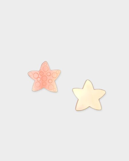 Starfish, Pink Queen Conch