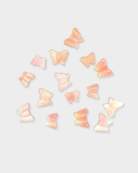 Butterfly, Pink Queen Conch