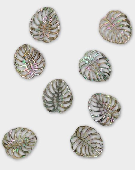 Leaf , Abalone