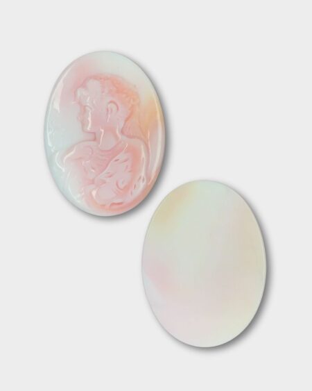 Cameo, Pink Queen Conch