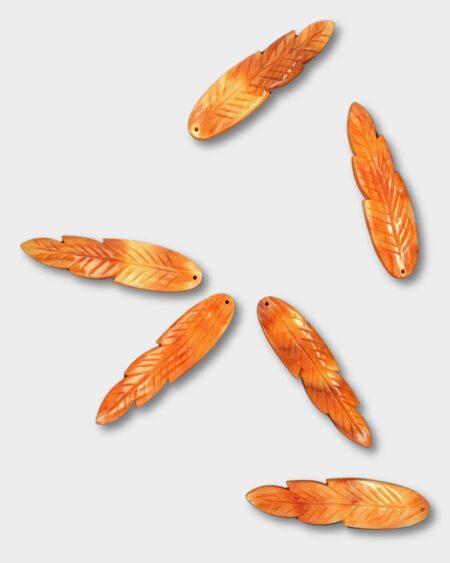 Feather, Spiny Oyster