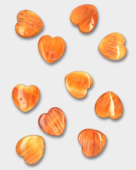 Heart, Spiny Oyster