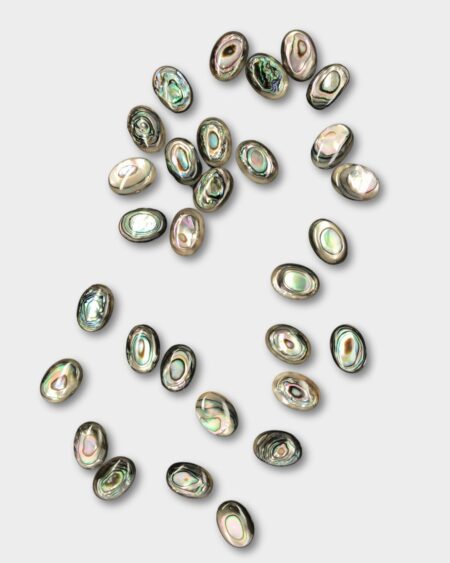 Oval Cabochon, Abalone