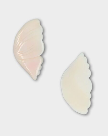 Butterfly, Pink Queen Conch