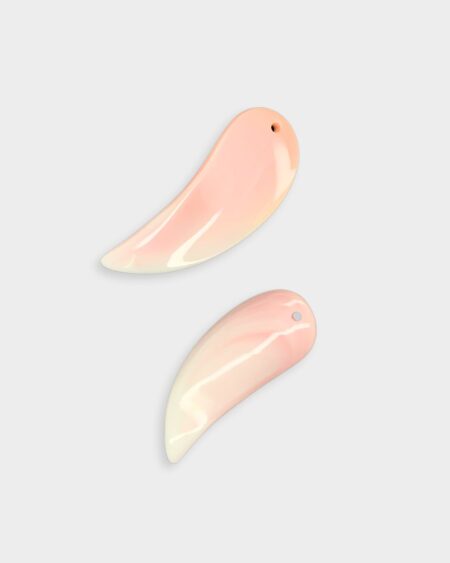 Wing, Pink Queen Conch