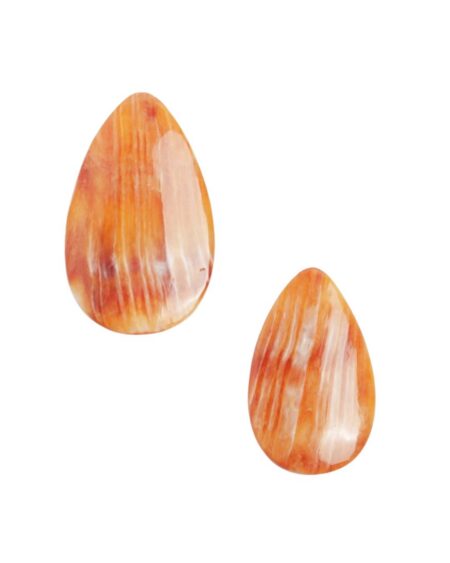 Lion Paw Shell Pear Shaped Cabochon