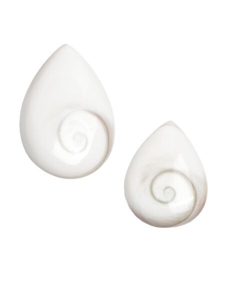 Shiva Shell Pear Shaped Cabochon