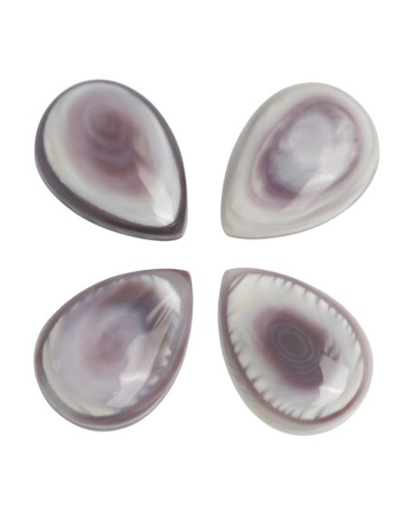 Wampum Shell Pear Cabochon