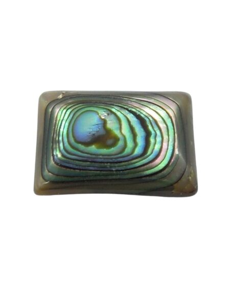 Cabochon Rectangle Abalone