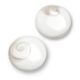 Shiva Shell