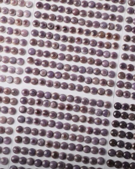 Beautiful Purple Wampum Shell Round Shaped Calibrated Cabochon