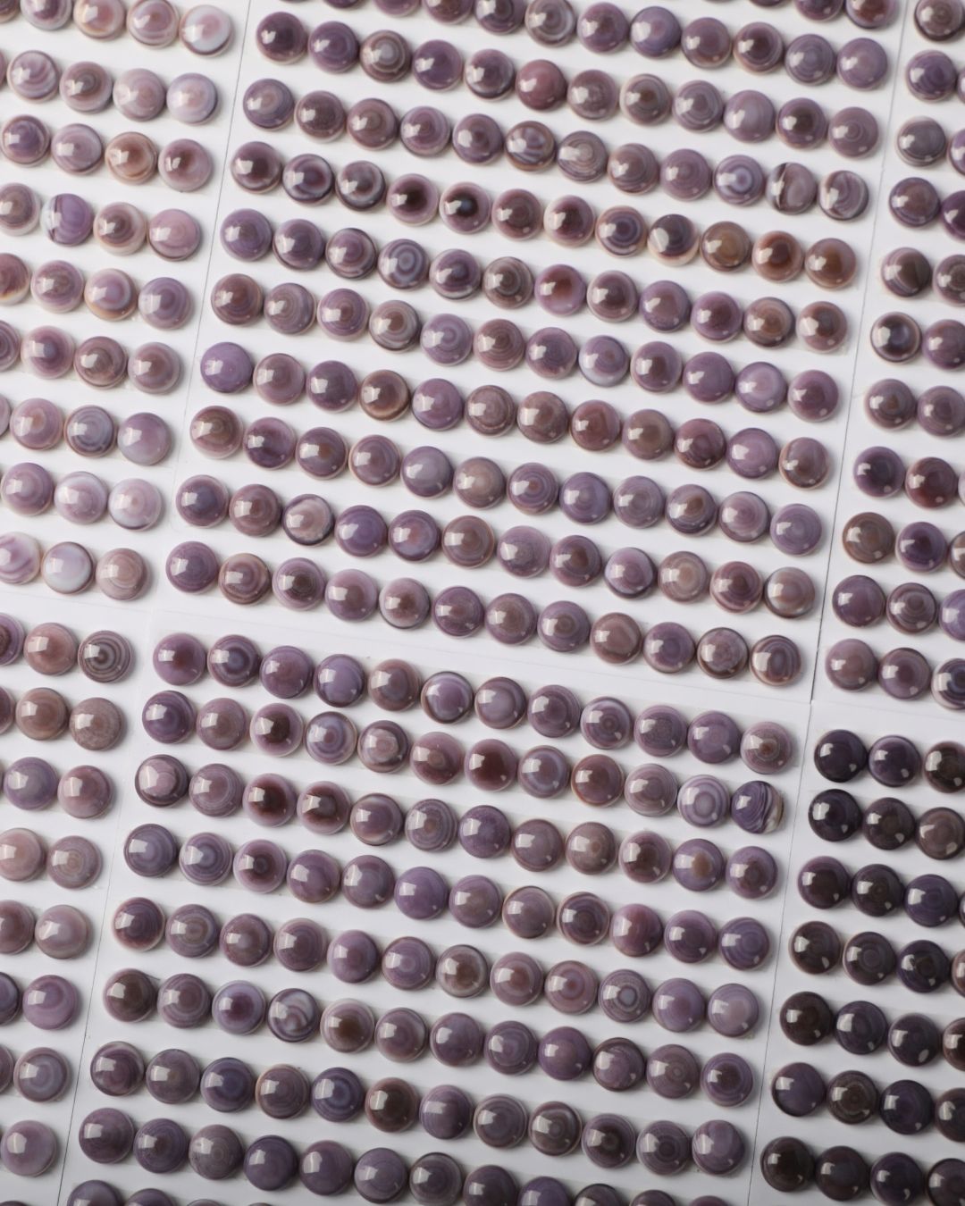 Wp6m Shell Beautiful Purple Wampum Shell Round Shaped Calibrated Cabochon - Tai ...