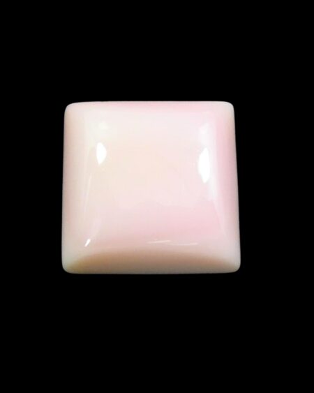 Cabochon Square Pink Queen Conch Shell
