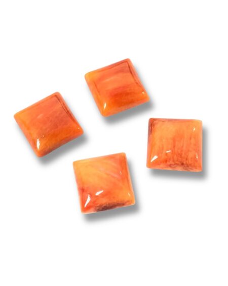 Cabochon Square Spiny Oyster