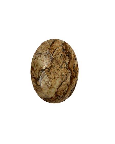 Facet Oval Picture Jasper