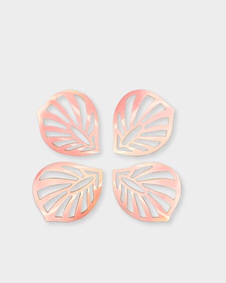 Leaf, Pink Queen Conch