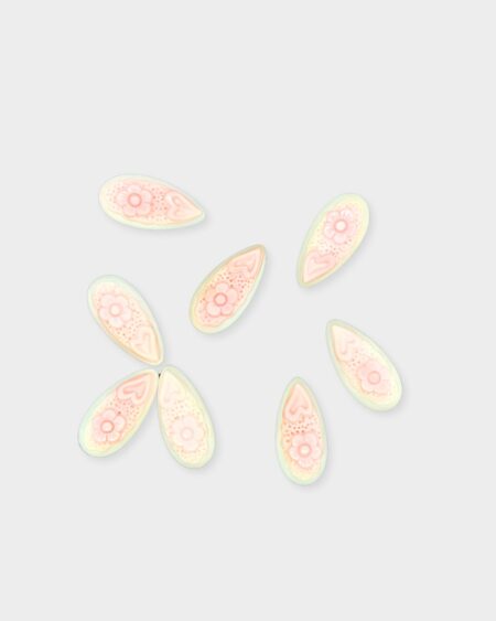 Carved Pear, Pink Queen Conch