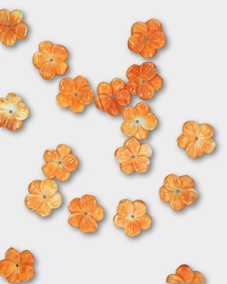 Flower, Spiny Oyster