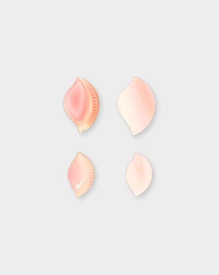 Shell, Pink Queen Conch