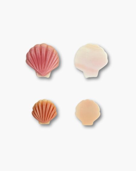 Sea Shell,  Conch