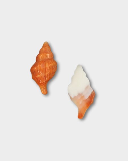 Shell, Spiny Oyster