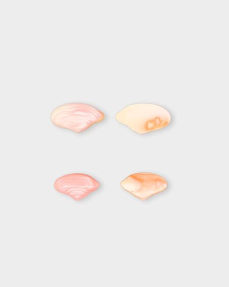 Shell, Pink Queen Conch