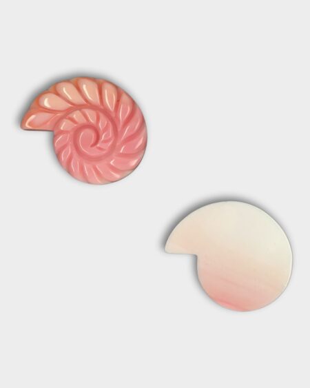 Shell, Pink Queen Conch