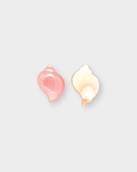 Shell, Pink Queen Conch