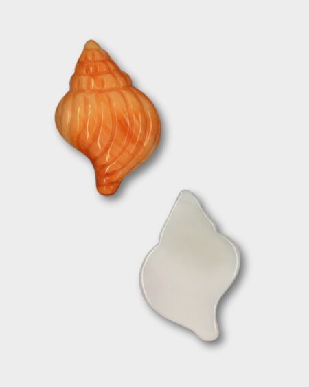 Sea Shell, Spiny Oyster
