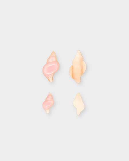 Shell, Pink Queen Conch