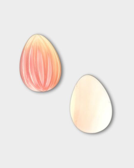 Almond, Pink Queen Conch