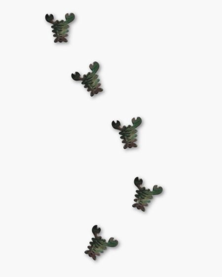 Lobster, Black MOP