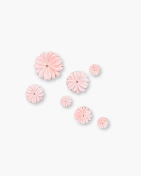 Queen Conch Shell Chrysanthemum