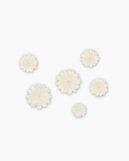 White MOP Chrysanthemum