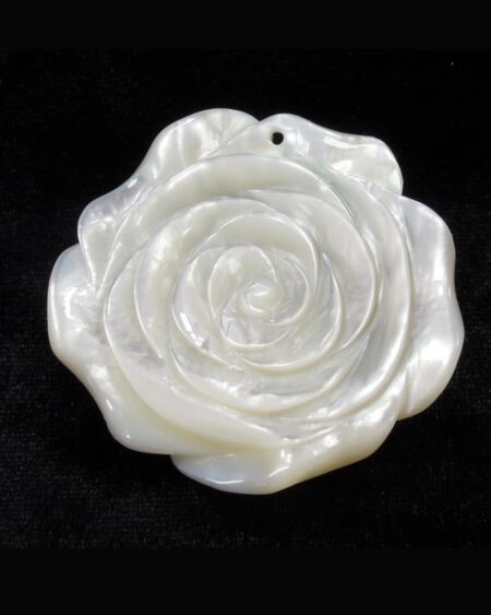 White MOP Roses