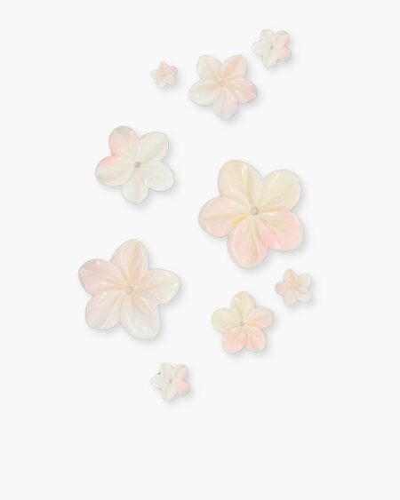 Queen Conch Loose Flower