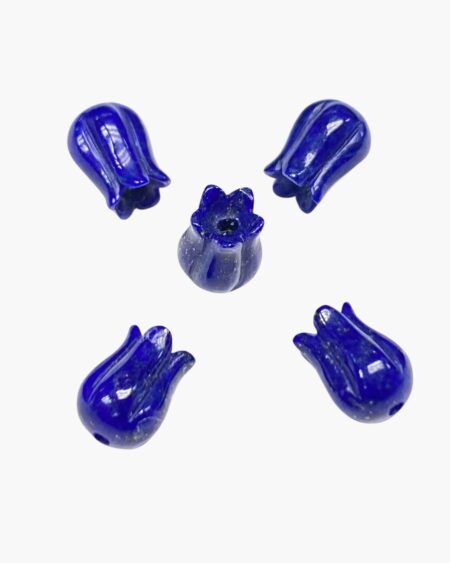 Lapis Lazuli Tulip