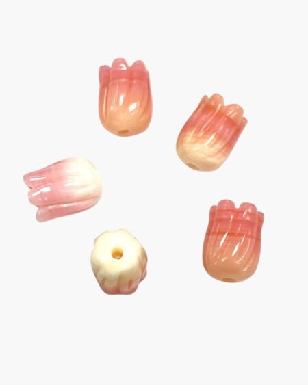 Pink Conch Tulip